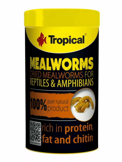 Tropical Meal Worms 100 ml/13Gr ( Kurutulmuş Un Kurdu )