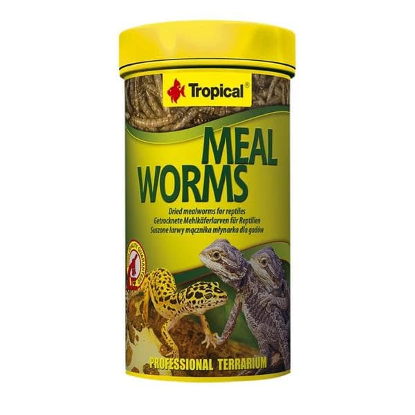 Tropical Meal Worms 250ml/30Gr ( Kurutulmuş Un Kurdu )