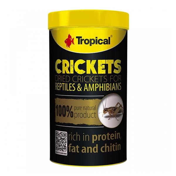 Tropical Crickets 250ml/25G ( Kurutulmuş Çekirge )