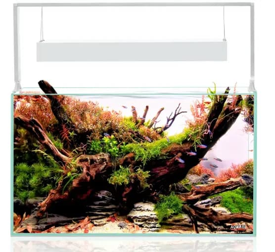 Aquael Ultrascape 60 Snow Set