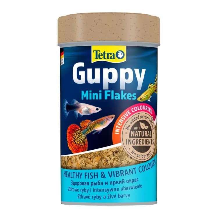 Tetra Guppy Lepistes Balık Yemi – 100ML