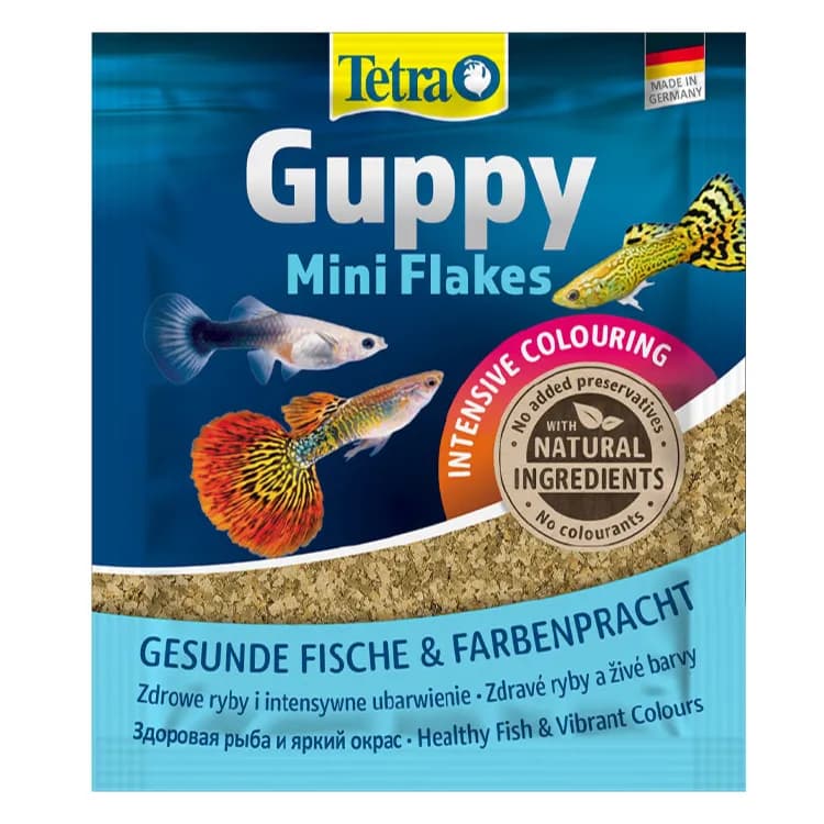 Tetra Guppy Lepistes Balık Yemi – 12GR