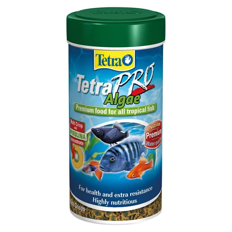 Tetra Pro Algae Crisps Otçul Süs Balık Yemi – 250ML