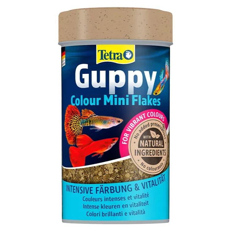 Tetra Guppy Colour Mini Flakes Lepistes Pul Balık Yemi – 100ML