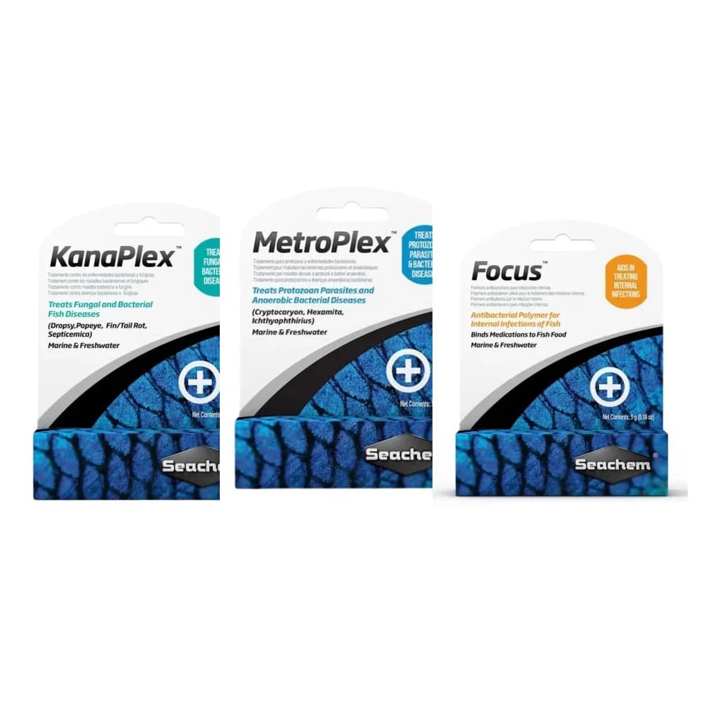 Kanaplex Focus Metroplex 3'lü Paket