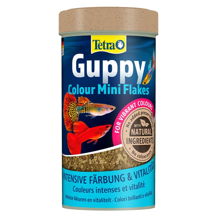 Tetra Guppy Colour Mini Flakes Lepistes Pul Balık Yemi – 250ML