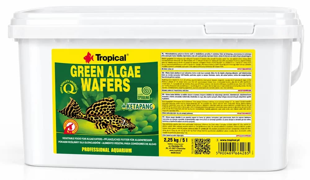Tropical Green Algae Wafers (Kovadan Bölme)