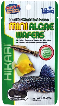 Hikari Vatoz & Yosun Yiyici Wafer Yem 250 g