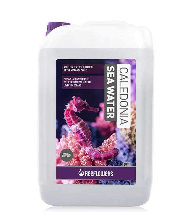 ReeFlowers Caledonia Sea Water 20 lt