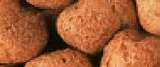 Hikari Kolay Sindirilen Buğday Özlü Düşük Isı Havuz Yemi Medium 2 kg