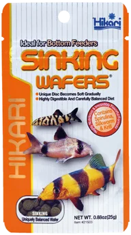 Hikari Mini Vatoz & Yosun Yiyici Wafer Yem 1 kg