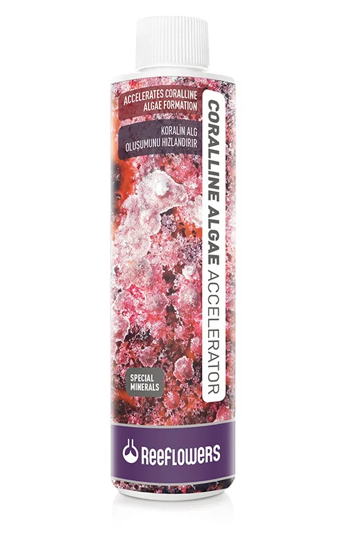 ReeFlowers Coralline Algae Accelerator 500 ml