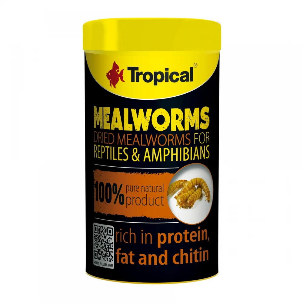 Tropical Meal Worms 250ml/30Gr ( Kurutulmuş Un Kurdu )