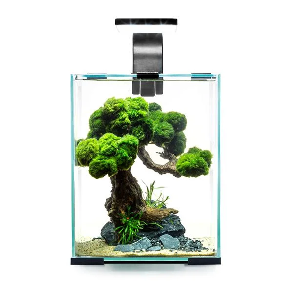 Aquael Shrimp Set Smart D&N 10 Beyaz