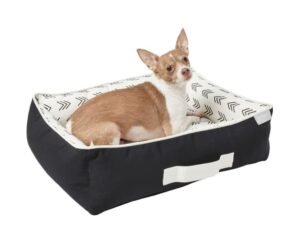 Royal Canin Modern Set for Dogs